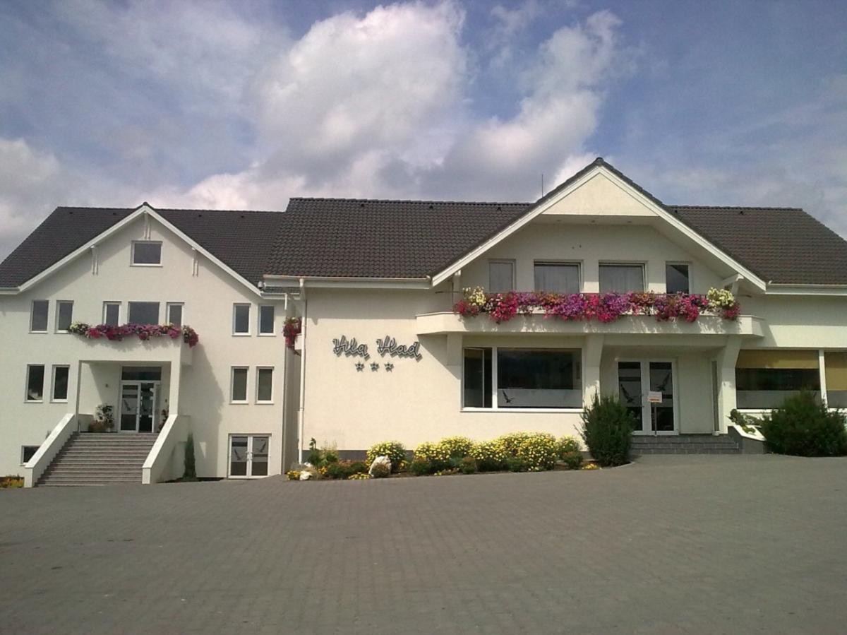 Vila  Vlad Zalau