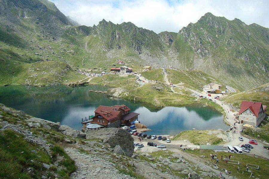 Cartisoara