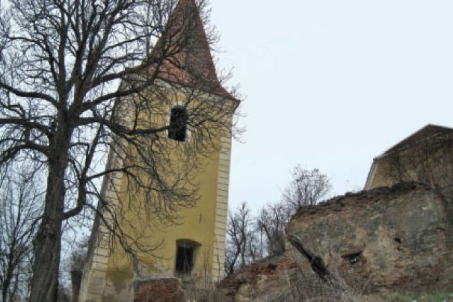 Rusi