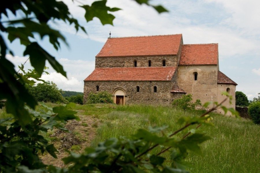 Cisnadioara