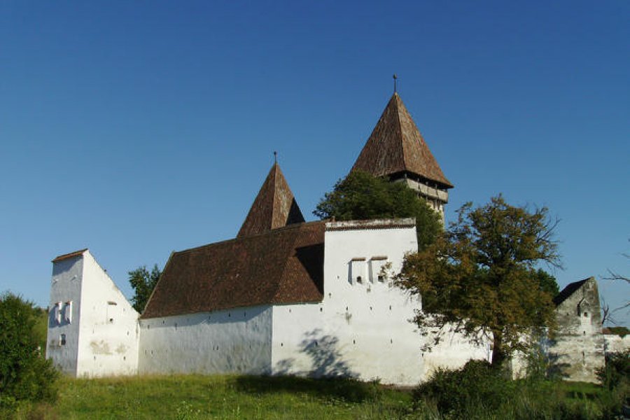 Dealu Frumos