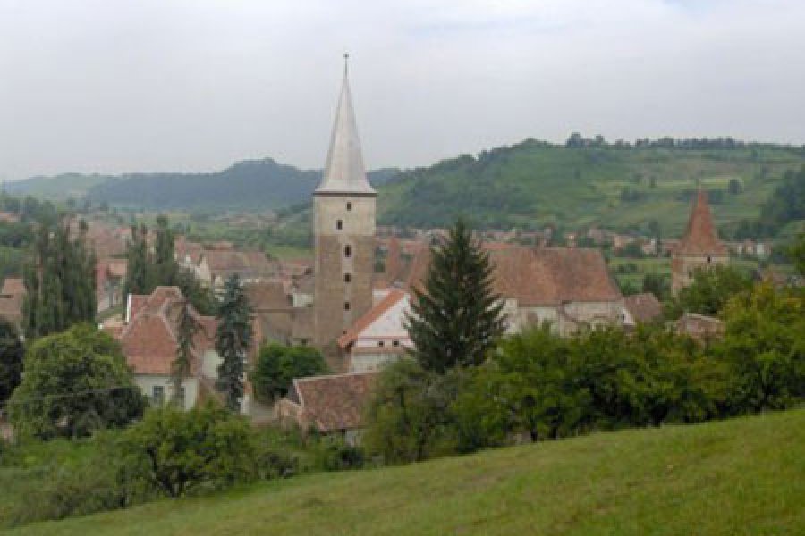  Mosna