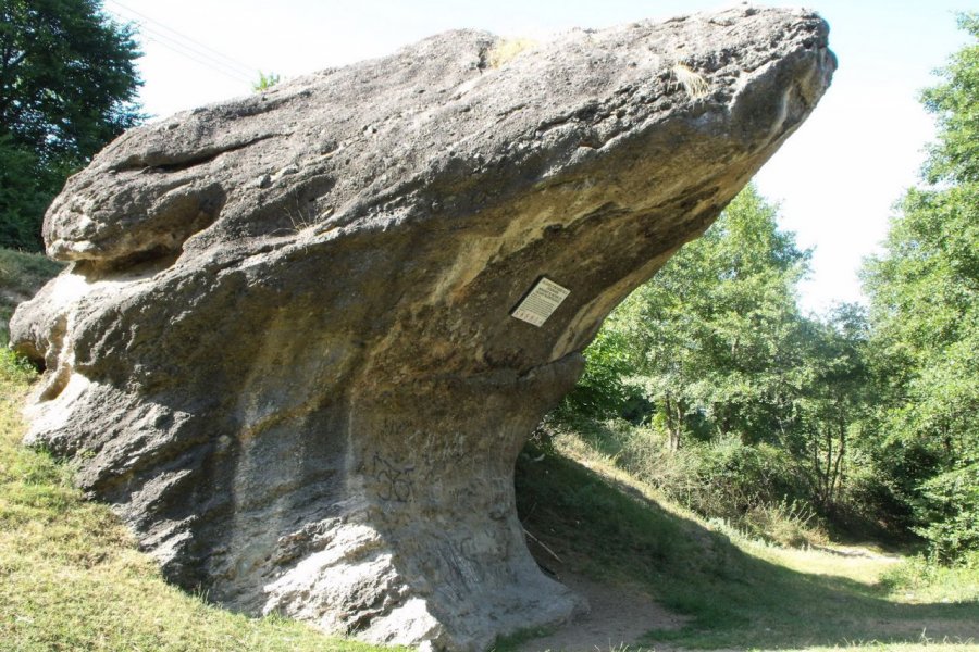  Cisnadioara