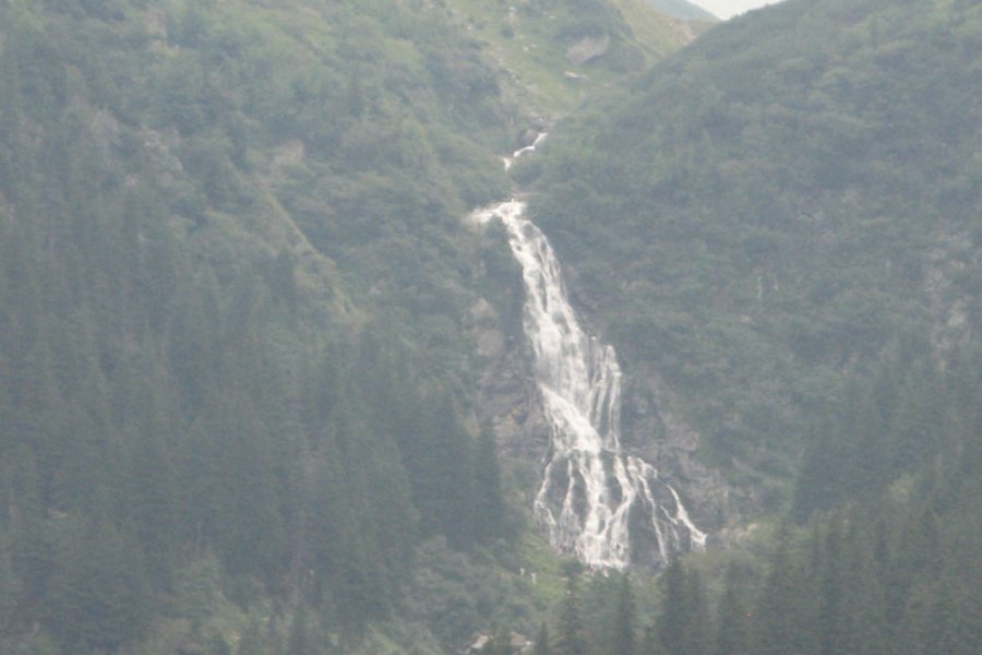  Cartisoara