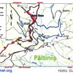  Paltinis small