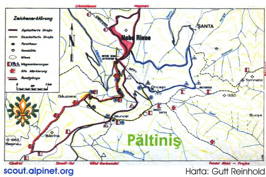  Paltinis