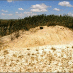  Hasag small